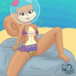 anthro big_breasts bikini_thong bottomwear bra breasts bubble_helmet clothing feet female flower_accessory flower_cloud_(spongebob) flower_on_helmet genitals humanoid_genitalia humanoid_pussy miniskirt nipples pussy skirt solo squirrel_tail swimwear underwear wet wet_clothing k-cxvii nickelodeon spongebob_squarepants sandy_cheeks mammal rodent sciurid tree_squirrel 1:1 absurd_res hi_res