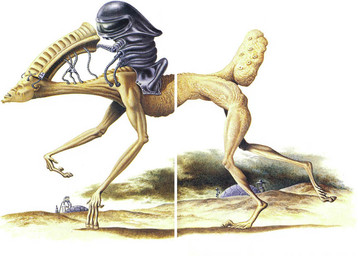 ambiguous_gender bald blind building digitigrade disability duo hooves legless machine mind_control not_furry nude outside quadruped riding spacesuit tan_body tan_skin unguligrade what dougal_dixon man_after_man alien humanoid posthuman 1990