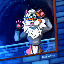 against_surface anthro breathing clothing collar crop_top eyewear femboy goggles hair looking_at_viewer male night on_glass orange_body paws shirt solo straps teeth tongue topwear white_body white_hair window thisbunyhos novabeast 1:1 animated hi_res