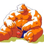 anthro balls barazoku bear biceps big_muscles big_penis biped blue_clothing blue_swimwear brown_bear brown_nose clothed clothing clothing_aside erection eyes_closed fur genitals glans grisser grizzly_bear humanoid_genitalia humanoid_penis male mammal muscular muscular_anthro muscular_male nipples on_ground orange_balls orange_body orange_fur orange_penis pecs penis penis_poking_out pose simple_background sitting smile solo speedo swimwear teeth topless underwear underwear_aside ursine