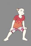 anthro biped bottomwear canid canine canis clothing domestic_dog fffffolder fur grey_background hat headgear headwear hi_res male mammal plantigrade shirt shorts simple_background t-shirt topwear young young_anthro