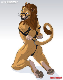 anthro ball_gag bdsm bondage bound gag gagged halter harness harness_ball_gag harness_gag male muzzle_(object) muzzled nude paws simple_background solo submissive submissive_male tail white_background exiles tamu felid lion mammal pantherine
