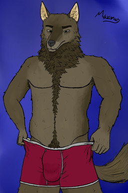 anthro armpit_hair armpit_tuft body_hair boxer_briefs brown_body brown_fur bulge clothed clothing dressing fur fuzzy green_eyes happy_trail male pubes red_clothing red_underwear solo tired underwear underwear_only maximuswolf mythology maximus_(maximuswolf) canid canine mammal mythological_canine mythological_creature werecanid werecanine werecreature werewolf absurd_res hi_res signature