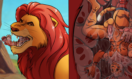 anthro balls bodily_fluids duo erection feral feral_pred fur genitals hair internal male male/male male_pred male_prey oral_vore orange_body orange_fur penis red_hair saliva size_difference striped_body striped_fur stripes vore algaroo disney the_lion_king mufasa felid lion mammal pantherine tiger hi_res