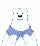 anthro biped black_nose blush fur kemono solo white_body white_fur andikapatok shirokuma_cafe shirokuma bear mammal polar_bear ursine 2014 absurd_res half-length_portrait hi_res portrait