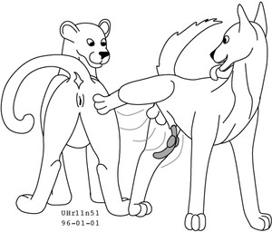 animal_genitalia balls dismounting duo female feral feral_on_feral genitals interspecies knot knot_root knotted_penis looking_back male male/female penis raised_leg raised_tail sheath simple_background smile tail tongue tongue_out unknotting vulva urbanhermit canid canine canis cougar felid feline mammal wolf 1996 black_and_white dated low_res monochrome