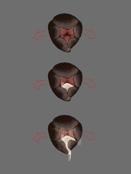 animal_genitalia animal_vulva bodily_fluids bubble canine_genitalia canine_vulva cum cum_bubble cum_drip cum_in_vagina cum_inside cum_string disembodied_vulva dripping female genital_fluids genitals leaking_cum multiple_poses pose solo vulva fifity