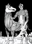 1_eye abs ambiguous_gender anthro bone clenched_teeth deltoids eyeless galloping grass group hooves looking_at_viewer male melee_weapon muscular muscular_anthro muscular_male navel night nude outside plant running skinless skull skull_head solo_focus standing teeth trio unusual_form weapon weapon_arm king_orochi european_mythology mythology orcadian_mythology scottish_mythology scp_foundation equid equine horse humanoid mammal nuckelavee scp-3456 taur 2023 absurd_res artist_name black_and_white hi_res monochrome traditional_media_(artwork)