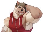 anthro biceps clothing forearm_muscles fur gloves_(marking) green_eyes hair hand_behind_head hoodie male markings muscular muscular_anthro muscular_male red_clothing red_hoodie red_topwear simple_background sleeveless_hoodie solo tan_body tan_fur tan_hair topwear white_background imato mako_(makowolf1) canid canine canis mammal wolf 2021 hi_res