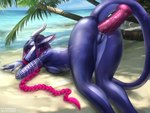 anal anal_masturbation anal_penetration anthro anus beach big_dildo butt dildo dildo_in_ass dildo_insertion female genitals masturbation object_in_ass penetration pussy sea seaside sex sex_toy sex_toy_in_ass sex_toy_insertion solo tail tattoo water ariwalter mythology roxanne_(nairan) dragon mythological_creature mythological_scalie scalie 2022 4:3 hi_res