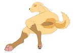 4_toes anthro anus barely_visible_anus covering covering_crotch digitigrade feet female looking_at_viewer lying on_side paws raised_tail simple_background soles solo tail toes itroitnyah canid canine mammal hi_res