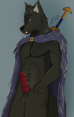 anthro balls biped black_body black_fur black_nose cape clothing erection front_view fur genitals knot looking_at_viewer male melee_weapon open_mouth penis purple_eyes solo standing sword weapon copinlighter elden_ring fromsoftware blaidd_(elden_ring) canid canine canis mammal wolf hi_res