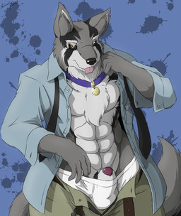 abs animal_genitalia anthro biped candid clothed clothing collar flaccid genitals male muscular muscular_anthro muscular_male open_clothing open_shirt open_topwear penis sheath shirt solo tongue tongue_out topwear underwear zerofox1000 thunder_(zerofox1000) canid canine canis mammal wolf 2015 colored