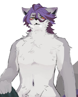 anthro blush clothed clothing fur grey_body grey_fur hair holding_object looking_at_viewer male multicolored_body multicolored_fur navel nude purple_hair simple_background solo tail two_tone_body two_tone_fur white_body white_fur yellow_eyes neko_desu_nyaa compass_(combat_providence_analysis_system) charles_richter_(compass) canid canine canis mammal wolf 2026 hi_res