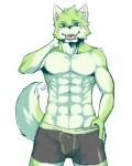 anthro black_clothing black_underwear boxer_briefs bulge clothed clothing male muscular muscular_anthro muscular_male simple_background solo tail topless underwear underwear_only white_background kenn basil_(pixiv) canid canine canis domestic_dog mammal 4:5 hi_res