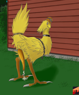 animal_genitalia avian_butt bdsm beak bodily_fluids bondage bound cloaca cloacal_penis collar cum feathers feral genital_fluids genitals grass male muzzle_(object) muzzled outside penis plant solo wings_tied divas final_fantasy square_enix avian chocobo hi_res