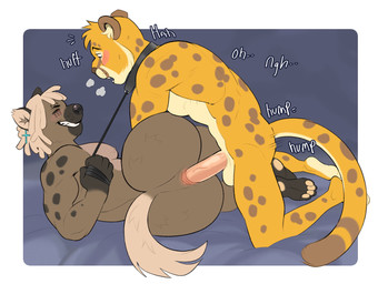 anal anal_penetration anthro anus balls bed bedroom blonde_hair blush butt collar dreadlocks duo furniture genitals hair leash leash_pull male male/male markings pawpads penetration penis power_bottom spots spotted_body tattoo morgwyn dimitri_(hyena) canid cheetah felid feline hyena mammal spotted_hyena