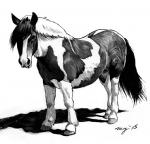 balls feet feral fur genitals hooves long_snout looking_at_viewer male mane quadruped short_fur side_view simple_background snout solo white_background megan_giles equid equine horse mammal 2015 black_and_white monochrome signature traditional_media_(artwork)