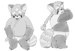 anthro biped bulge clothing kemono male overweight overweight_male shirt simple_background slightly_chubby solo topwear underwear undressing white_background young young_anthro mootknk lifewonders tokyo_afterschool_summoners zhurong_(tas) ailurid mammal red_panda 2021 hi_res monochrome