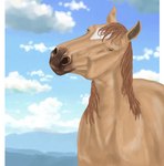 ambiguous_gender cloud facial_markings feral hair head_markings looking_at_viewer markings solo tan_body tan_hair midrate pearl_(wasen) equid equine horse mammal digital_media_(artwork) hi_res