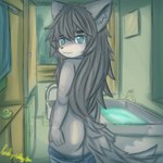 anthro bathroom blue_eyes butt detailed_background fur grey_body grey_fur hair kemono long_hair looking_at_another male nude smile solo young lonelywolfyboi lonelywolfyboi_(character) canid canine canis mammal wolf 1:1 hi_res shaded