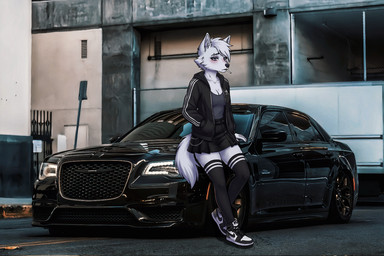 bottomwear bra car clothing female footwear fur knee_highs knee_socks legwear shoes skirt smoking sneakers socks solo sports_bra sports_car sportswear underwear vehicle white_body white_fur kawasakiwind adidas air_jordan_1 chrysler chrysler_300c jordan_(brand) nike lyubov_karpova canid canine mammal