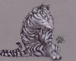 2007 anthro blotch felid grey_background looking_at_viewer male mammal nude pantherine pose simple_background solo stripes tail textured_background tiger whiskers