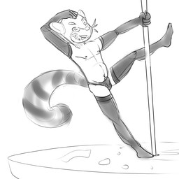 adolescent bulge clothed clothing crossdressing dancing genitals gloves handwear legwear male panties penis pole pole_dancing solo stockings stripper underwear undressing young cyndiquill200 ailurid mammal red_panda 1:1 monochrome sketch