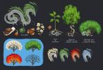 5_fingers feral fingers flower group plant seed species_sheet tail text tree katie_hofgard asian_mythology east_asian_mythology mythology dragon eastern_dragon mythological_creature mythological_scalie scalie 2018 digital_media_(artwork) english_text model_sheet