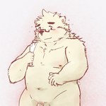 anthro blush eyewear genitals glasses humanoid_hands kemono male navel nipples penis slightly_chubby solo towel towel_on_shoulder furball_shirokm bear mammal 1:1 2022 hi_res