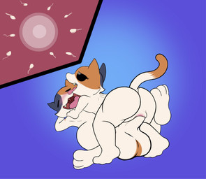 balls big_balls bodily_fluids butt cum cum_inside duo female feral genital_fluids genitals impregnation inbreeding male male/female nude sex tail tongue tongue_out young young_on_young unknown_artist epic_games fortnite katt_(fortnite) kit_(fortnite) calico_cat domestic_cat felid feline felis mammal brother_(lore) brother_and_sister_(lore) sibling_(lore) sister_(lore)