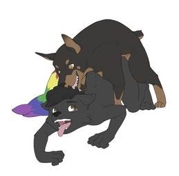 anal anthro anthro_on_feral bestiality canine doberman dog duo feral from_behind gay inazuma_okami interspecies male mammal nude open_mouth orange_eyes plain_background rainbow_tail sex soroxel tongue tongue_out white_background wolf
Rating: Explicit
Score: 6
User: Inazuma_Okami
Date: January 13, 2014