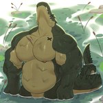 anthro barazoku big_pecs chest_scar eyes_closed featureless_crotch green_body green_scales head_back male musclegut muscular muscular_anthro muscular_male nipples nude partially_submerged pecs scales scar sharp_teeth slightly_chubby smile solo standing_in_water swamp teeth water same22shark crocodilian reptile scalie 1:1 absurd_res hi_res