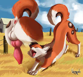 animal_genitalia animal_penis anus ass_up backsack balls butt canine_genitalia canine_penis close-up erection feral field fur genitals grass knot knotted_penis male open_mouth penile penis plant raised_tail solo stretching tail yawn vorpale canid canine canis fox mammal digital_media_(artwork) hi_res