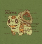 <3 all_fours amphibian anatomy anime bald black_eyes bone brain bulbasaur claws cute gore green_background happy japanese japanese_text nintendo open_mouth organs plain_background plant pointy_ears pokémon ryan_mauskopf sharp_teeth skull smile solo stomach teeth text tongue video_games young
Rating: Safe
Score: 6
User: toh
Date: May 09, 2013