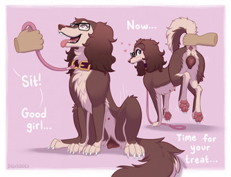 ambiguous_gender ambiguous_on_feral animal_genitalia animal_vulva anus ass_up bestiality blush brown_body brown_fur brown_vulva butt canine_genitalia canine_vulva claws collar digitigrade duo eyewear female female/ambiguous female_feral female_focus female_on_human feral front_view fur genitals glasses good_girl heart_symbol hearts_around_head human_on_feral interspecies leash leashed_collar lifted lifted_by_tail multi_view multicolored_body multicolored_fur open_mouth open_smile pawpads paws plump_labia quadruped raised_tail rear_view sitting smile solo_focus tail tail_anus tail_grab text toe_claws two_tone_body two_tone_fur vulva white_body white_fur digitoxici dogi_(digitoxici) canid canine canis domestic_dog human mammal 2026 digital_media_(artwork) english_text hi_res