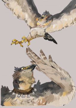 ambiguous_gender anthro beak black_beak black_claws claws duo feathered_wings feathers feet flying grey_background grey_body grey_feathers jewelry looking_forward looking_up necklace simple_background white_body white_feathers wings yellow_beak yellow_eyes yellow_feet babanasaur avian bird falcon falconid 2021 bust_portrait digital_media_(artwork) hi_res portrait sketch