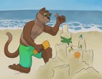 anthro beach clothing male sand_castle sculpture sea seashell seaside seaweed shell solo swimming_trunks swimwear water jackaloo jesse_cat domestic_cat felid feline felis mammal 2019