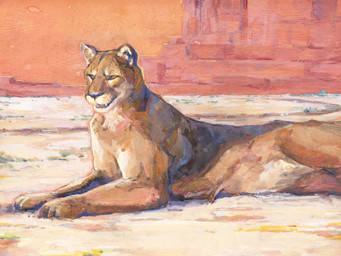 ambiguous_gender detailed_background feral fur narrowed_eyes on_ground open_mouth orange_body orange_eyes orange_fur outside quadruped realistic side_view solo akatan_art cougar felid feline mammal detailed hi_res traditional_media_(artwork)