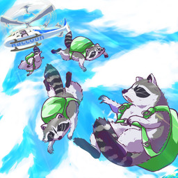 aircraft backpack black_body black_fur black_nose feral fur grey_body grey_fur group helicopter outside paws skydiving vehicle umikazenet3 mammal procyonid raccoon 2021 hi_res