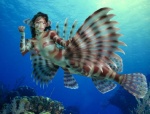 breasts female fin nipples non-mammal_breasts non-mammal_nipples sea solo split_form water silverfish_(artist) third-party_edit fish lionfish marine merfolk scorpaeniform photo_manipulation photomorph