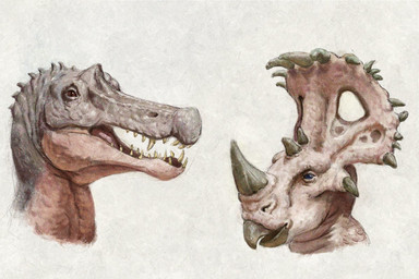 ambiguous_gender anthro beak blue_eyes brown_eyes duo facial_horn glistening glistening_eyes grey_body horn nose_horn open_mouth pink_body pink_tongue sharp_teeth simple_background teeth three-quarter_view tongue unsigned yellow_teeth upai brigid_(upai) linda_(upai) centrosaurine ceratopsian ceratopsid dinosaur irritator marginocephalian ornithischian prehistoric_species reptile saurischian scalie sinoceratops spinosaurid theropod female_(lore)