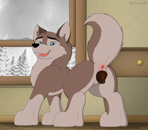 animal_genitalia animal_vulva anus blue_eyes brown_body brown_fur brown_vulva butt canine_genitalia canine_vulva countershade_face countershade_feet countershade_tail countershade_torso countershading digitigrade feet female female_feral feral fur genitals inside looking_at_viewer looking_back looking_back_at_viewer nude nude_female open_mouth open_smile paws pink_anus presenting presenting_hindquarters quadruped raised_tail smile solo tail tan_body tan_fur teeth tongue vulva window chocky25 balto_(series) universal_studios aleu_(balto) canid canine canis hybrid mammal wolfdog 2025 absurd_res alternate_version_at_source cel_shading colored digital_media_(artwork) hi_res shaded