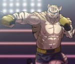 abs anthro biceps blue_eyes bottomwear clothed clothing fur handwear male muscular muscular_anthro muscular_male nipples pecs solo sport stripes topless vein veiny_arms wrestling husky_(artist) koreanhusky felid mammal pantherine tiger hi_res