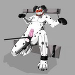 anthro ball_gag ball_tugging bdsm bodily_fluids bondage_gear bondage_gloves clothing cock_and_ball_torture dripping gag genital_torture handwear male mittens petplay puppyplay restrained restrained_arms restrained_legs roleplay saliva saliva_drip solo sketchotterly kodi_husky canid canine canis domestic_dog german_shepherd herding_dog mammal pastoral_dog 1:1 hi_res