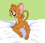 andromorph anthro butt crossgender female genitals intersex mta_crossgender mtf_crossgender mti_crossgender presenting presenting_hindquarters presenting_pussy pussy solo tail tabloi metro-goldwyn-mayer tom_and_jerry jerry_mouse mammal mouse murid murine rodent