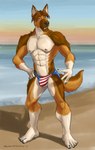 5_fingers 5_toes abs american_flag american_flag_clothing american_flag_underwear anthro beach big_chest black_claws black_nose black_pawpads broad_shoulders brown_body brown_eyes brown_fur brown_hair bulge cheek_tuft claws clothed clothing day facial_tuft feet finger_claws fingers flag flag_clothing flag_print fluffy fluffy_tail fur hair hand_on_hip humanoid_feet leg_markings looking_at_viewer male markings multicolored_body multicolored_fur muscular muscular_anthro muscular_male nipples open_mouth outside pawpads pecs pink_nipples plantigrade pose sea serratus socks_(marking) solo speedo speedo_only standing swimwear tail tan_body tan_fur teeth toe_claws toes tongue topless tuft united_states_of_america water white_body white_fur sampsonwoof rail_dawg canid canine canis domestic_dog german_shepherd herding_dog mammal pastoral_dog 2017 absurd_res digital_drawing_(artwork) digital_media_(artwork) hi_res shaded signature