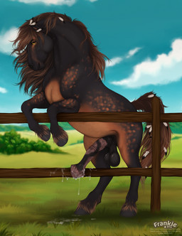 anatomically_correct anatomically_correct_genitalia anatomically_correct_penis animal_genitalia animal_penis balls big_balls big_penis black_body black_fur brown_body brown_fur brown_mane brown_tail cloud day detailed_background equine_genitalia equine_penis erection eyebrows feathering fence feral flared_penis fur genitals grass hooves looking_at_viewer loose_feather male male_feral mane medial_ring mottled mottled_genitalia mottled_penis outside penis plant presenting presenting_penis quadruped saggy_balls sheath shrub sky smile smiling_at_viewer solo tail unguligrade vein veiny_penis yellow_eyes fenn.perrox noz_orlok equid equine horse mammal 2025 digital_media_(artwork) hi_res