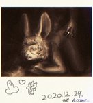 duo eyewear female glasses male male/female photo polaroid_photo sex fantasy_(artist) humanoid lagomorph leporid mammal rabbit 2020