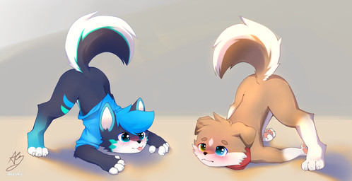 anthro ass_up biped black_eyes blep blue_body blue_clothing blue_eyes blue_fur blue_hair blue_hoodie blue_topwear blush blush_lines bottomless bottomless_anthro bottomless_male brown_body brown_fur clothed clothing duo fur hair heterochromia hoodie kemono male mostly_nude red_scarf scarf scarf_only shota slim_anthro slim_male tail tail_motion tailwag tongue tongue_out topwear white_body white_fur yellow_eyes young young_anthro young_male fur_alasky canid canine canis domestic_dog husky mammal nordic_sled_dog spitz 2021 hi_res